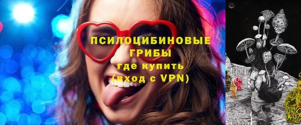 ешки Бугульма