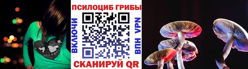 сколько стоит кракен ссылки Галлюциногенные грибы GOLDEN TEACHER Новохопёрск